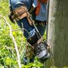 imageKlein Tools CN1907ARL Tree Climber Set with Pole Climbers Leg Irons Climbing Gaffs Climber Pads Straps Gaff Spikes Stirrups15Inch to 19Inch
